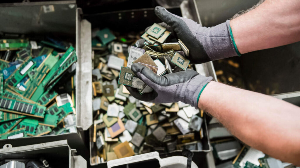 Toxic Round-Up Event in Melrose